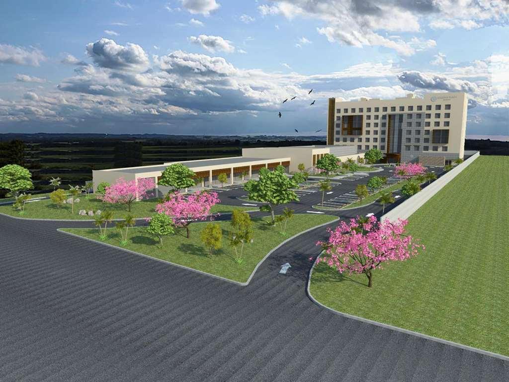 Galeria Plaza Irapuato Hotel Buitenkant foto